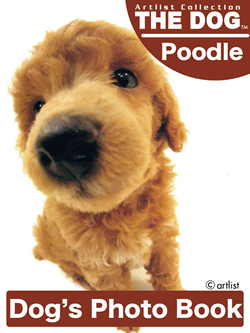 THE DOG Photo Book Collection Poodle