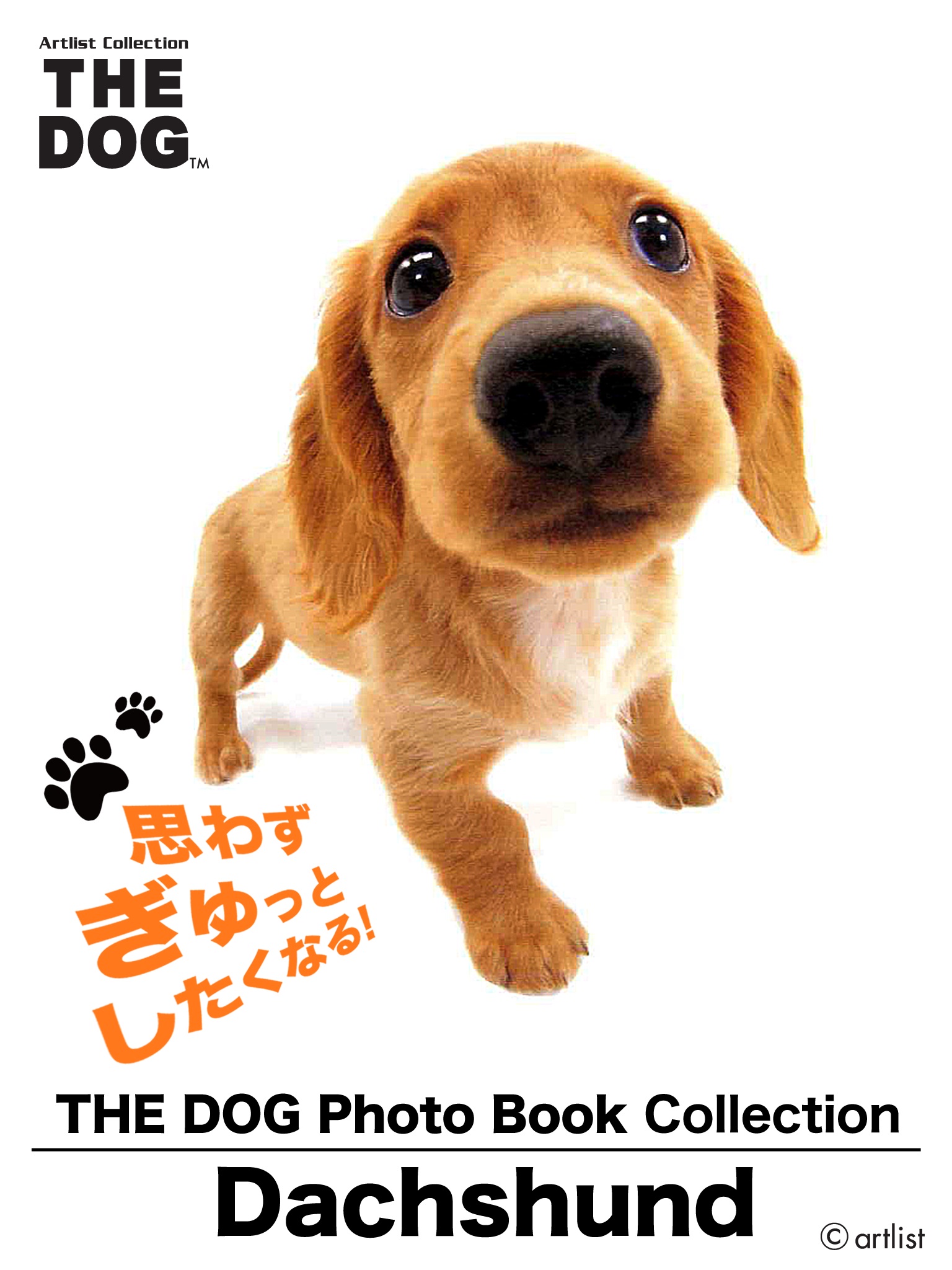 THE DOG Photo Book Collection Dachshund