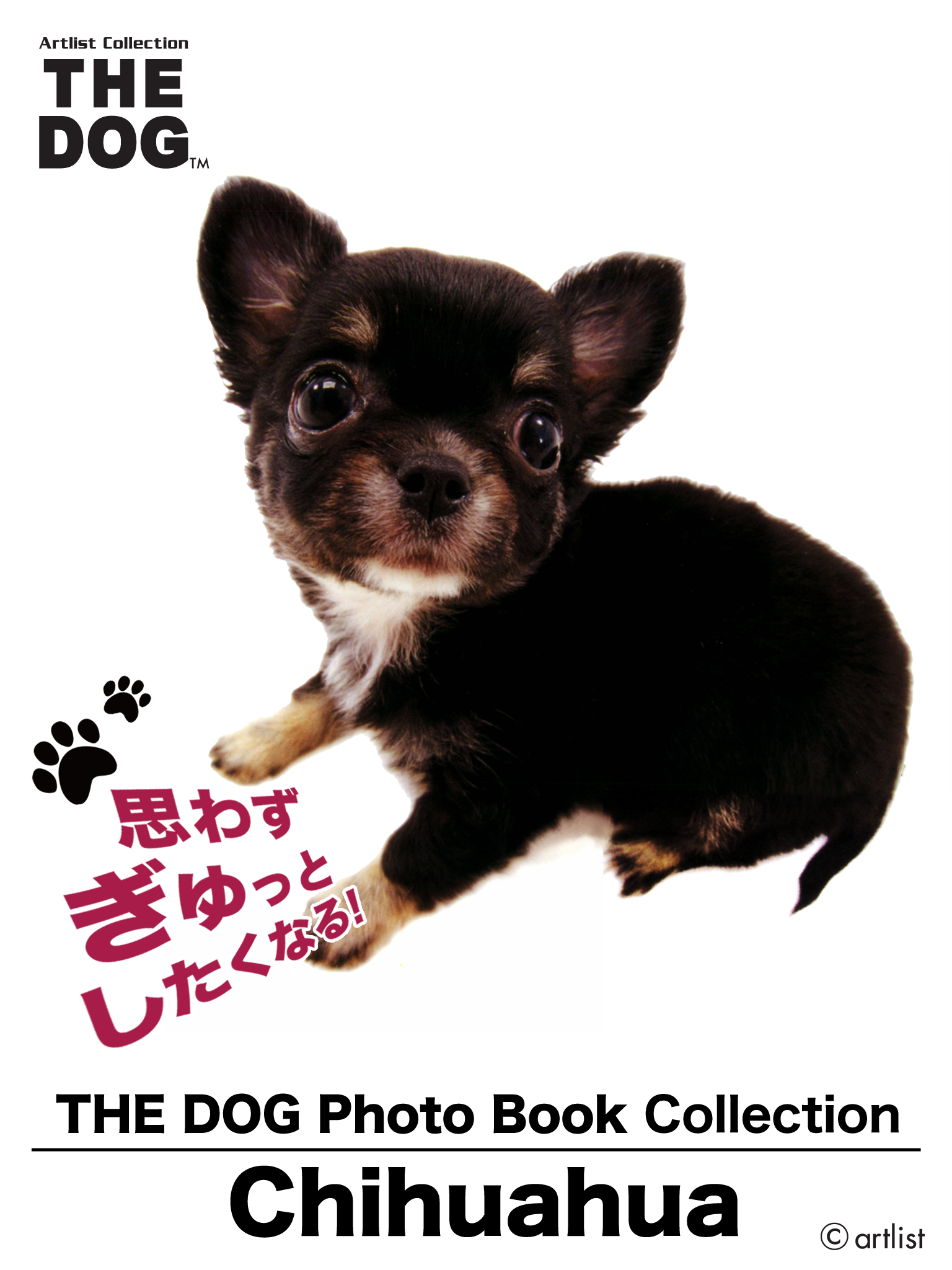 The dog Photo Book Collection Chihuahua