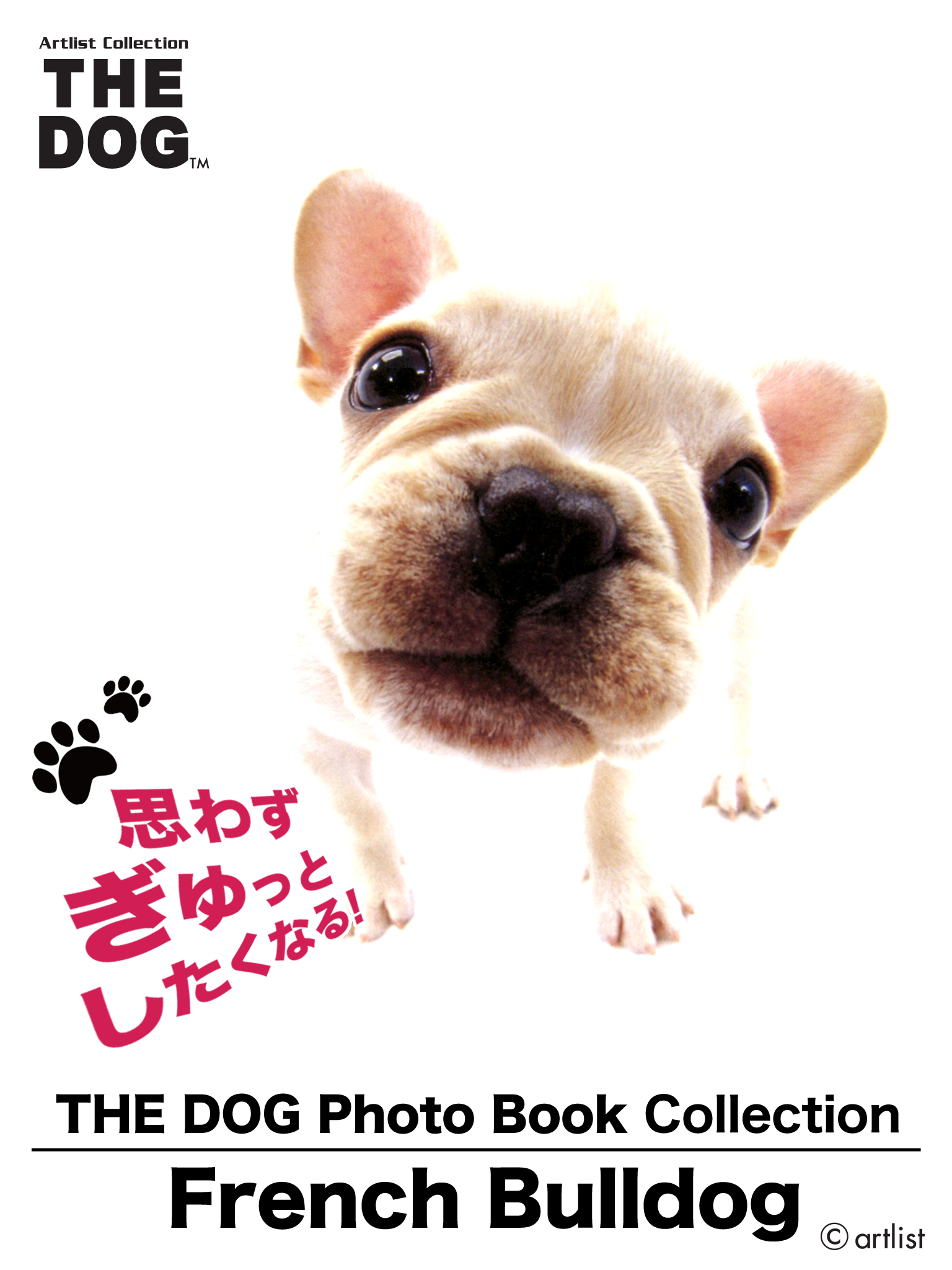 THE DOG Photo Book Collection French Bulldog 