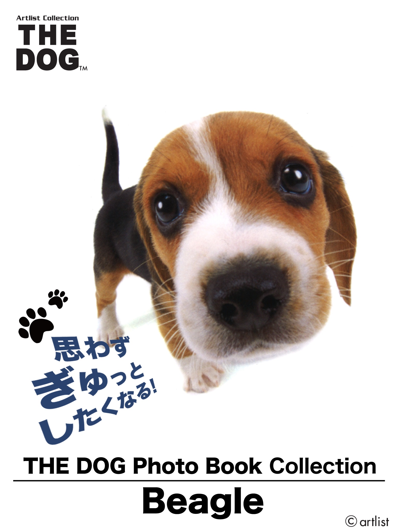 THE DOG Photo Book Collection Beagle