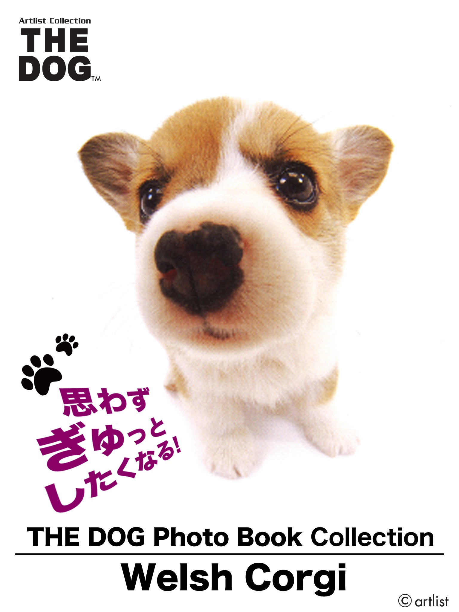 THE DOG Photo Book Collection Welsh Corgi