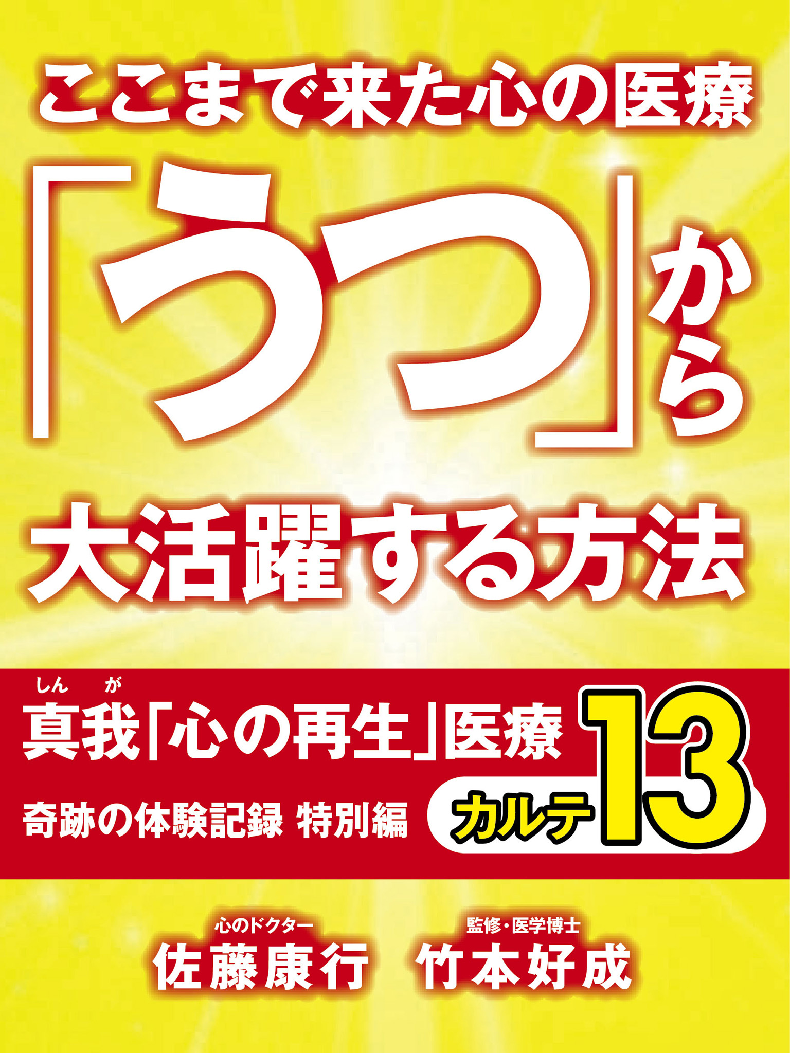 ここまで来た心の医療　「うつ」から大活躍する方法　真我「心の再生」医療　奇跡の体験記録　特別編　カルテ13