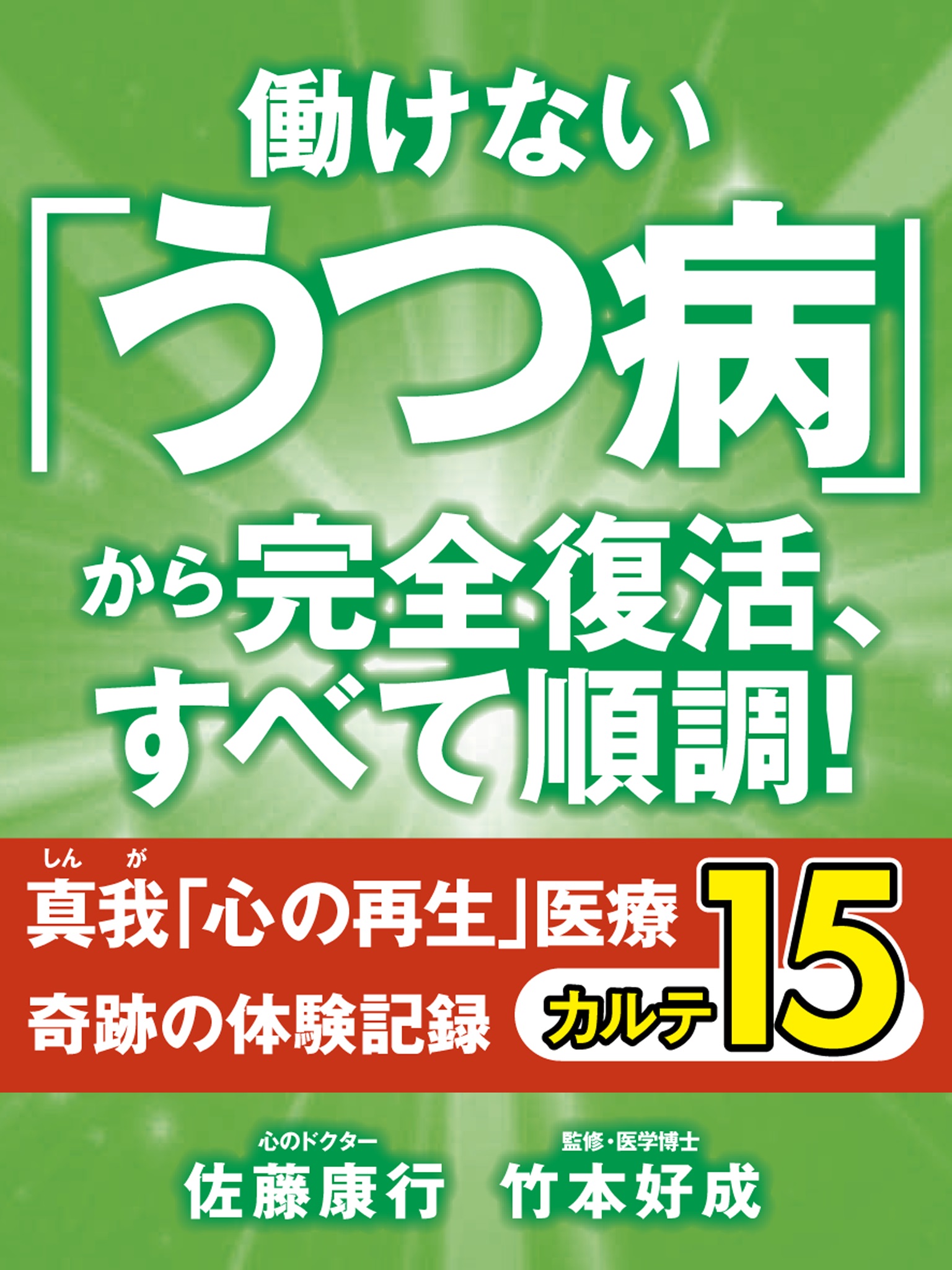 働けない「うつ病」から完全復活、すべて順調！　真我「心の再生」医療　奇跡の体験記録　カルテ15