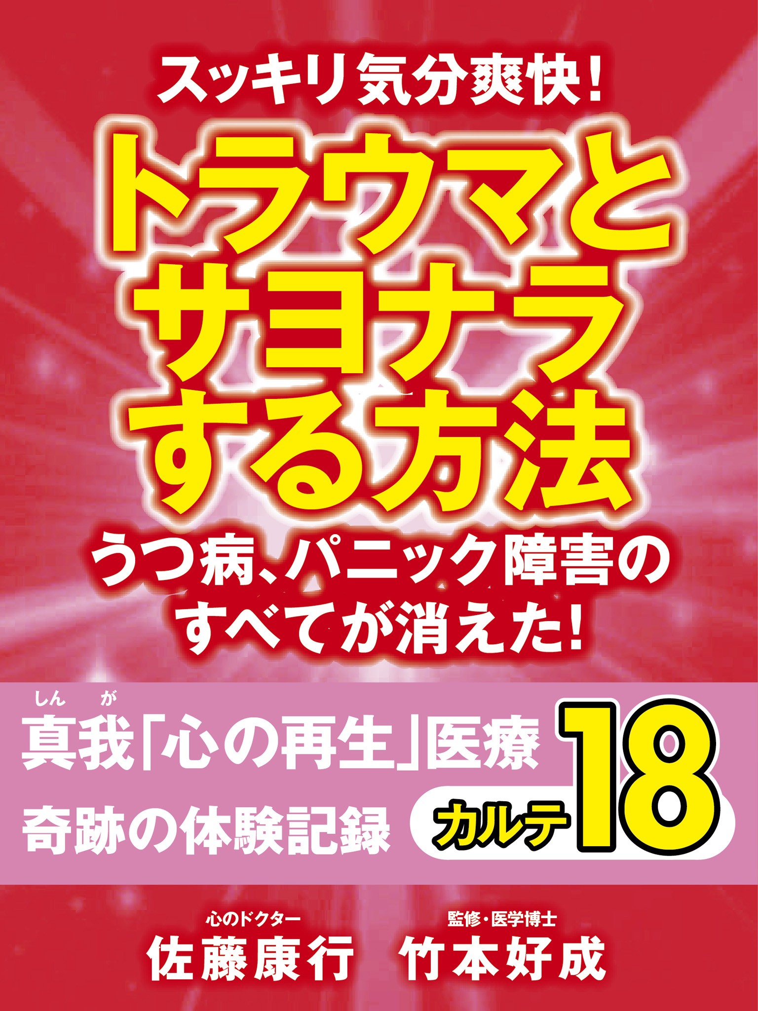 スッキリ気分爽快！　トラウマとサヨナラする方法　うつ病、パニック障害のすべてが消えた！　真我「心の再生」医療　奇跡の体験記録　カルテ18