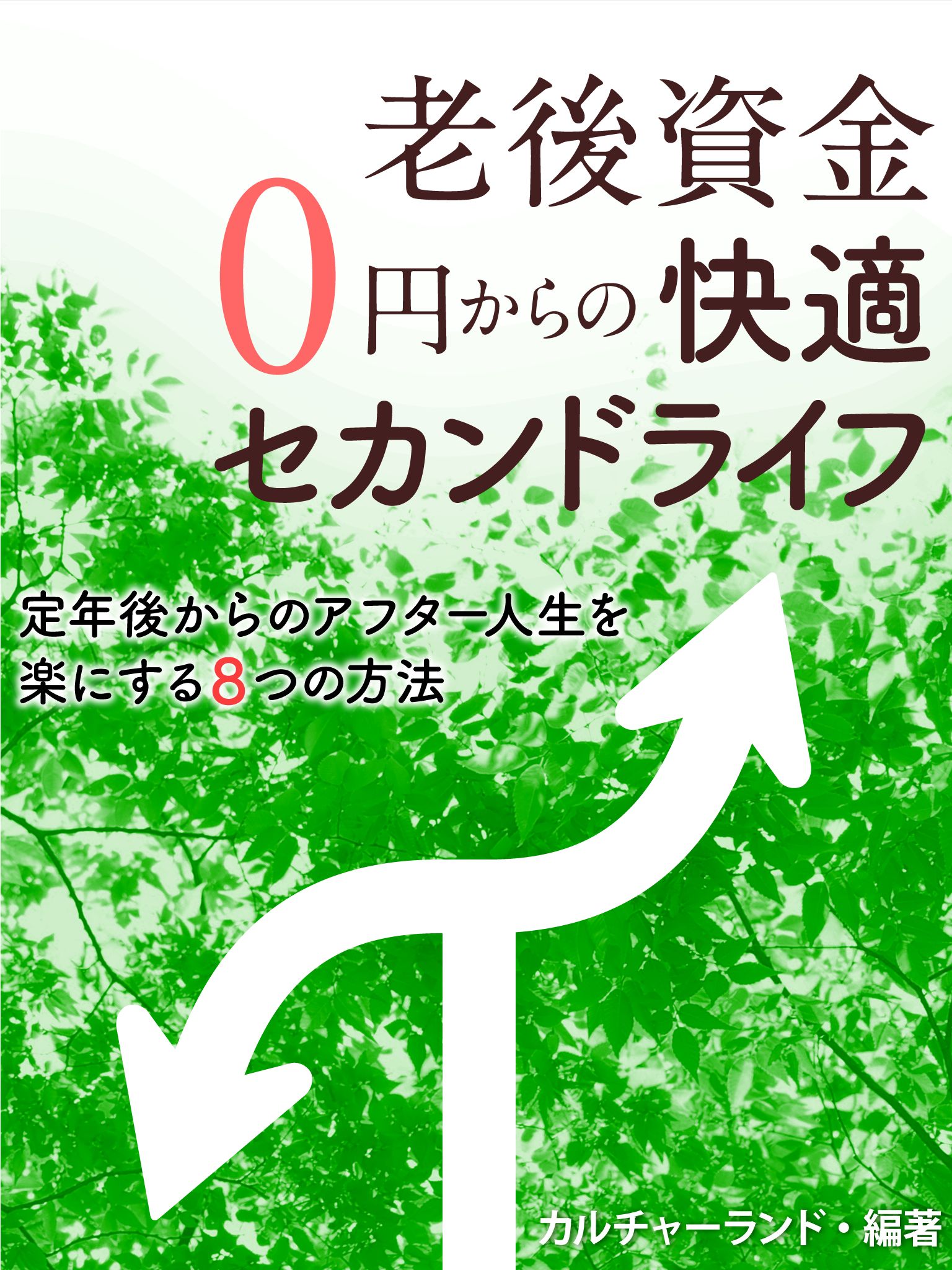 老後資金０円からの快適セカンドライフ　定年後からのアフター人生を楽にする８つの方法