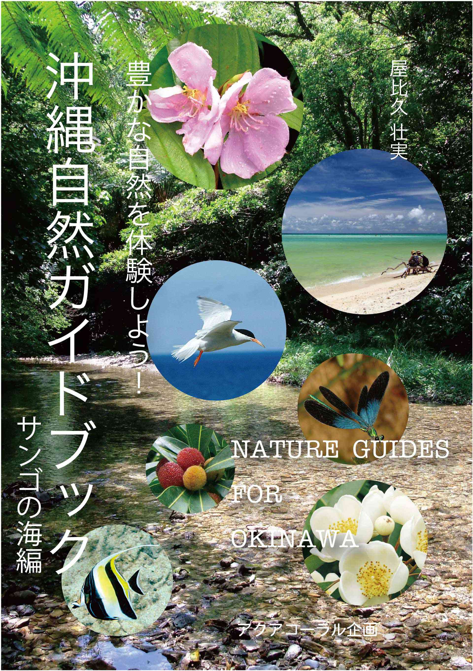 沖縄自然ガイドブック 豊かな自然を体験しよう！サンゴの海編