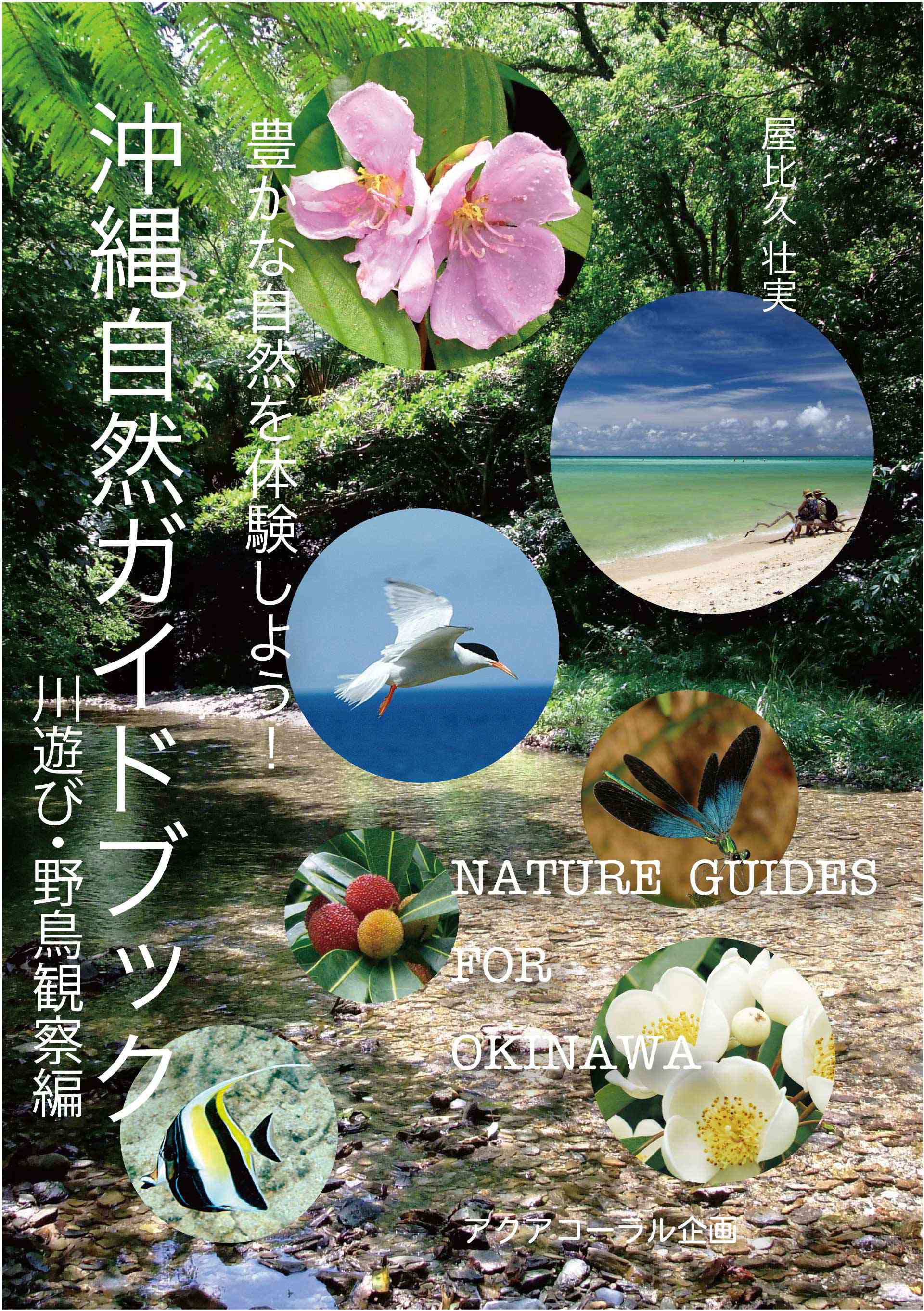 沖縄自然ガイドブック 豊かな自然を体験しよう！川遊び・野鳥観察編