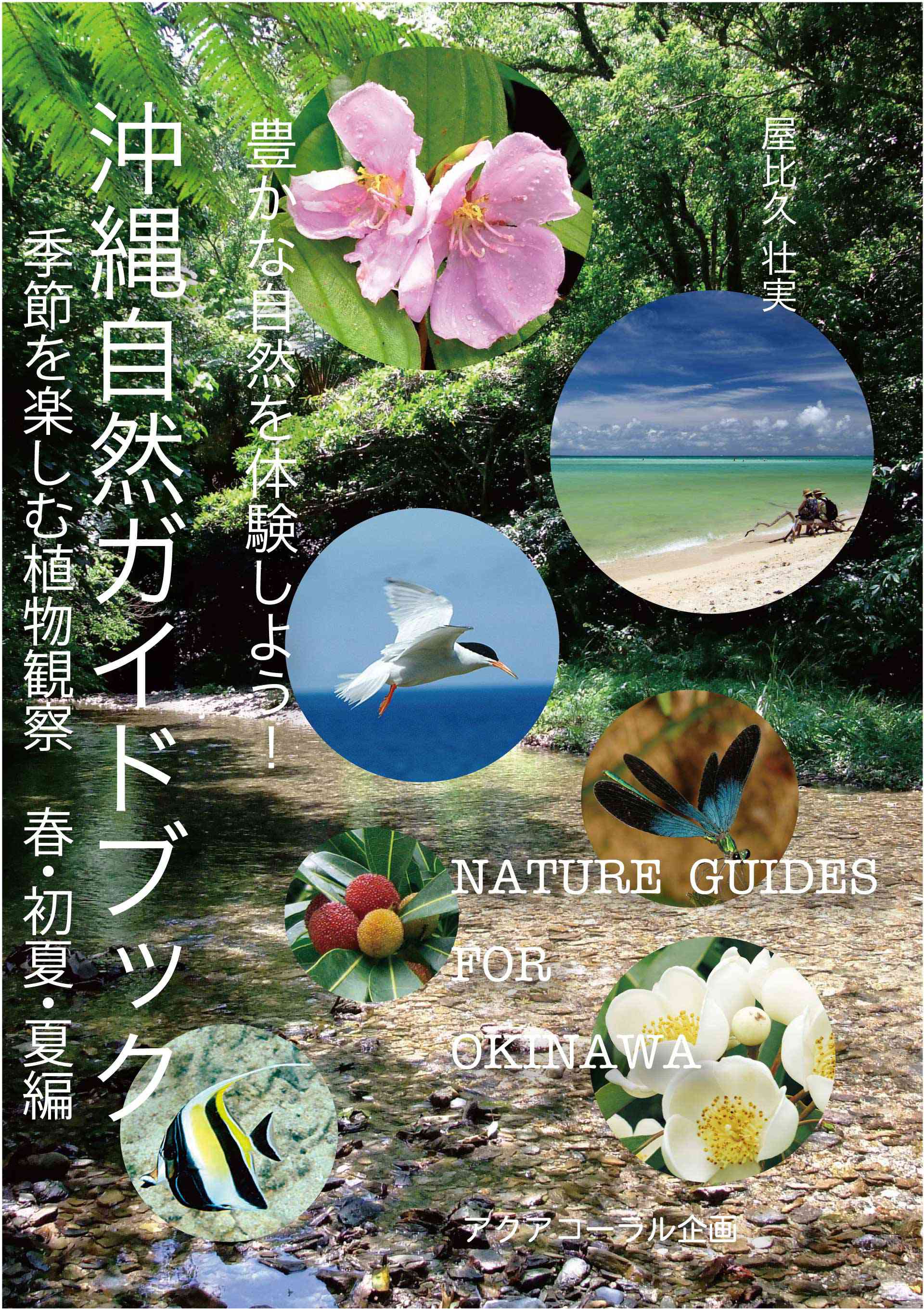 沖縄自然ガイドブック 豊かな自然を体験しよう！季節を楽しむ植物観察　春・初夏・夏編