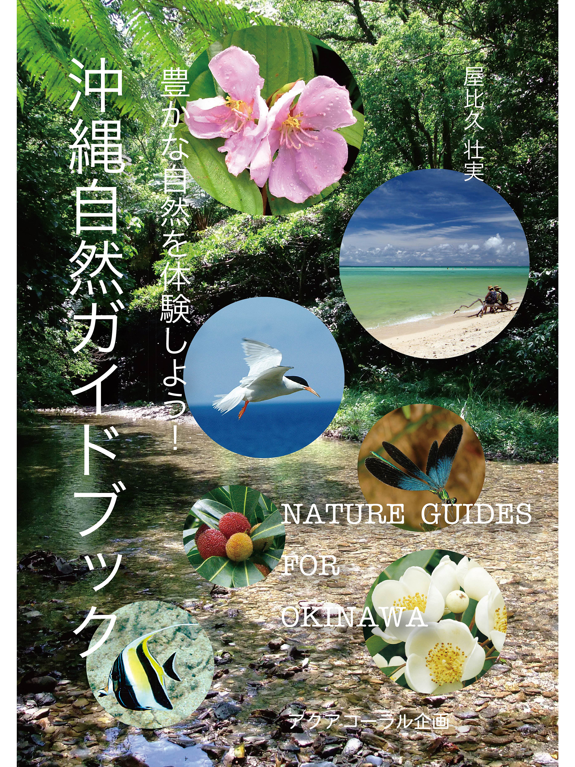 沖縄自然ガイドブック　豊かな自然を体験しよう！