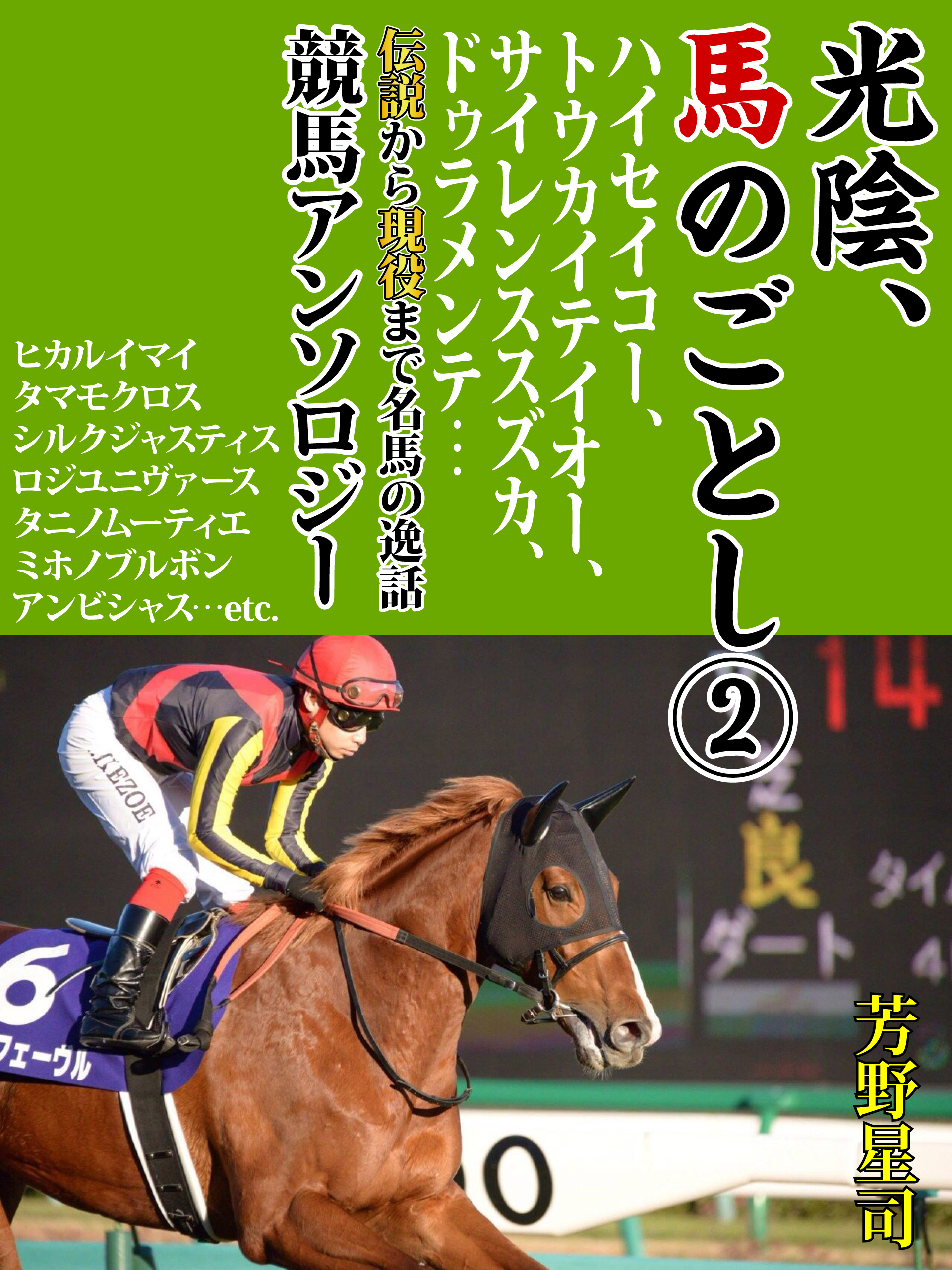 光陰、馬のごとし　２　ハイセイコー トウカイテイオー サイレンススズカ ドゥラメンテ…伝説から現役まで名馬の逸話競馬アンソロジー