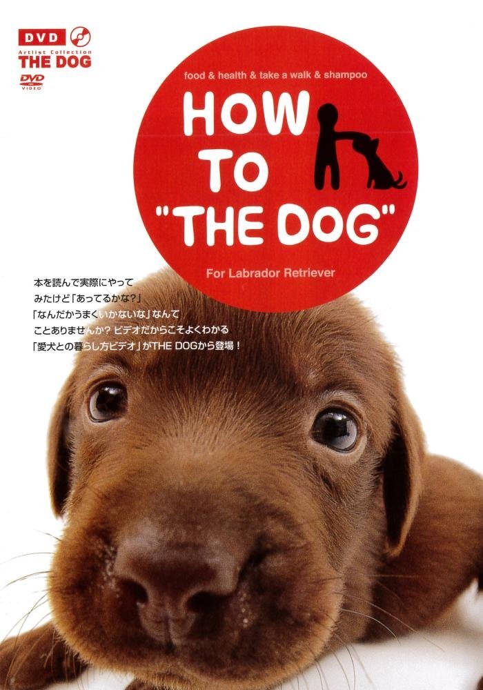 HOW TO THE DOG Vol.5 ラブラドール・レトリーバー [DVD]