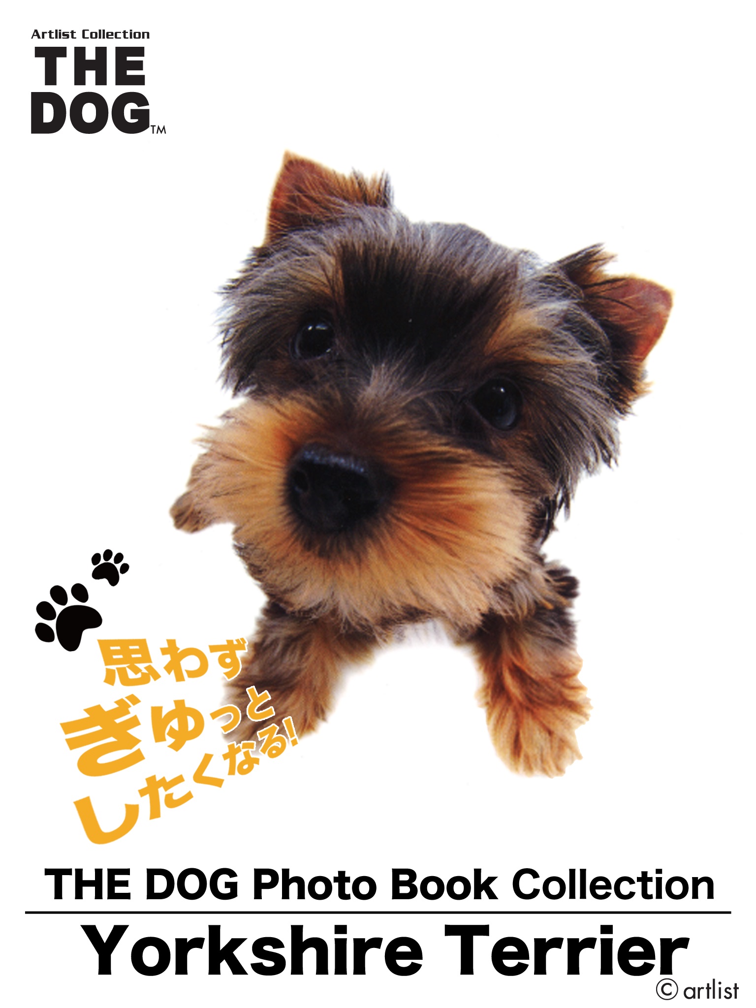 THE DOG Photo Book Collection Yorkshire Terrier