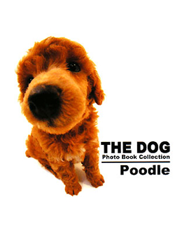 THE DOG　Photo Book Collection Poodle【書籍】