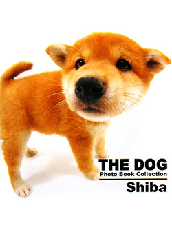 THE DOG　Photo Book Collection Shiba【書籍】