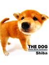 THE DOG　Photo Book Collection Shiba【書籍】