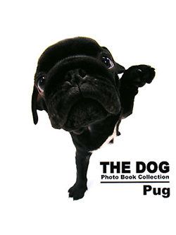 THE DOG　Photo Book Collection Pug【書籍】