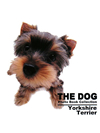 THE DOG　Photo Book Collection Yorkshire Terrier【書籍】