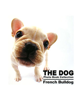 THE DOG　Photo Book Collection French Bulldog【書籍】