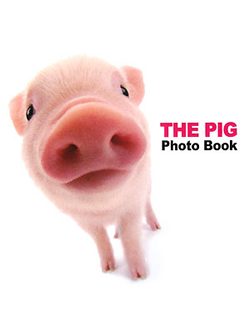 THE PIG Photo Book【書籍】