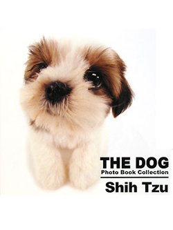 THE DOG　Photo Book Collection　Shih Tzu【書籍】