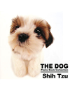 THE DOG　Photo Book Collection　Shih Tzu【書籍】