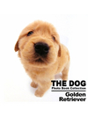 THE DOG　Photo Book Collection Golden Retriever【書籍】