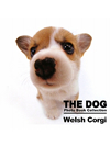 THE DOG　Photo Book Collection Welsh Corgi【書籍】